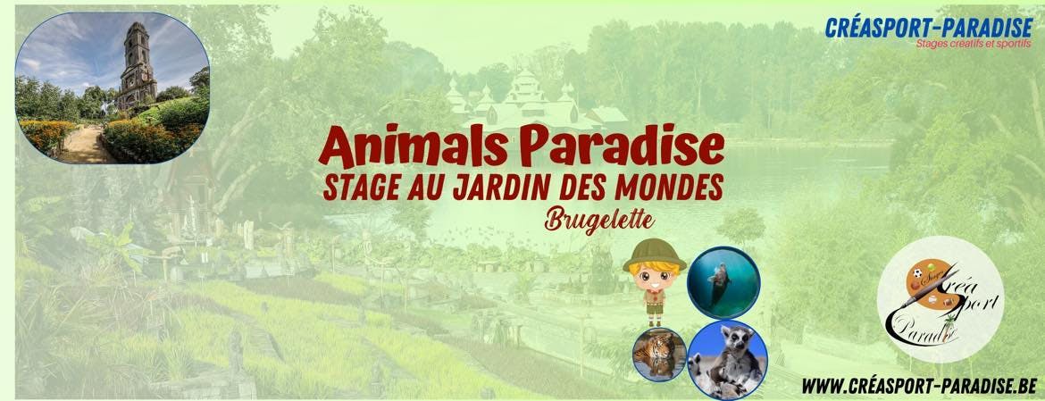 Animals Paradise