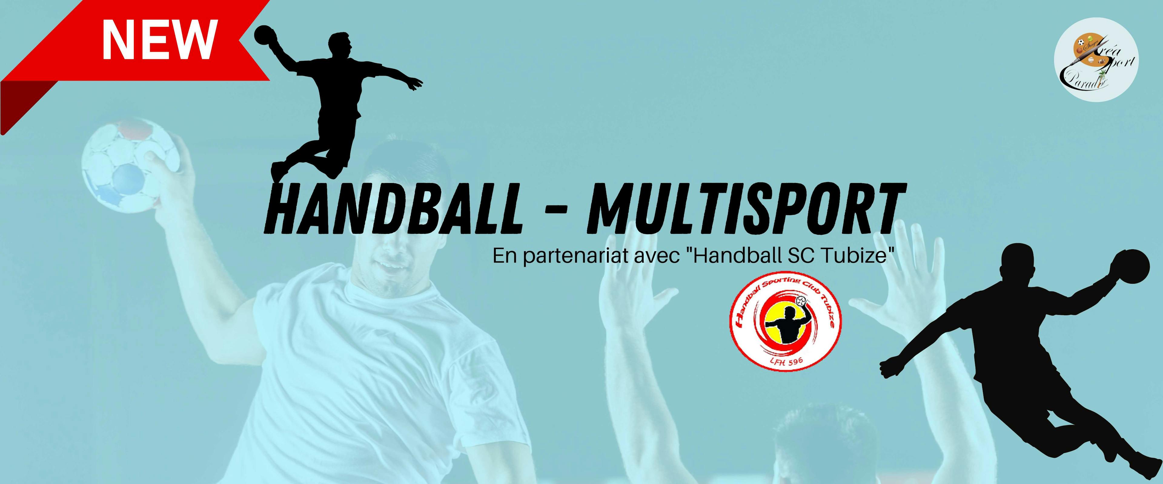 Printemps S1 : Handball- Multisports